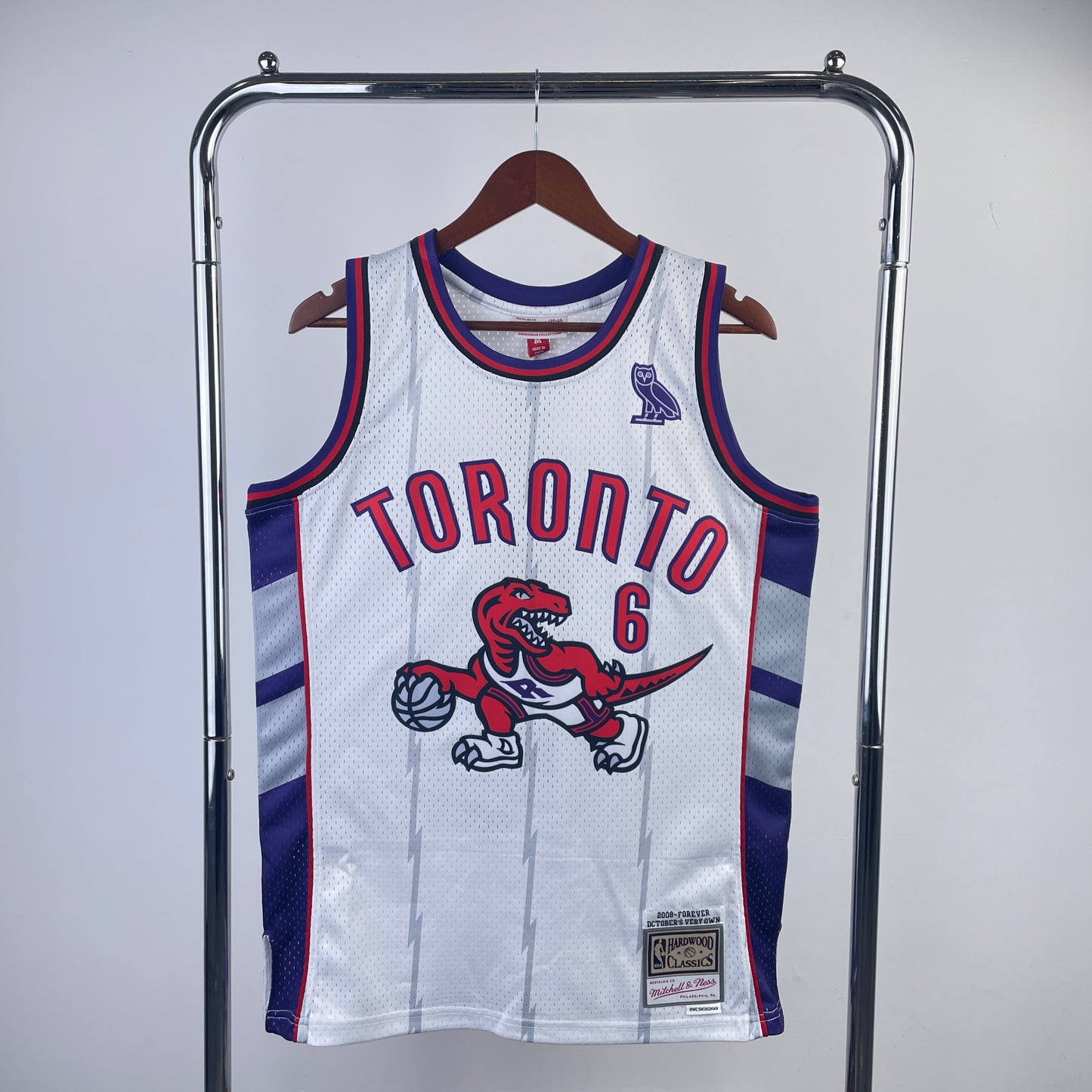 Toronto Raptors #6 jersey