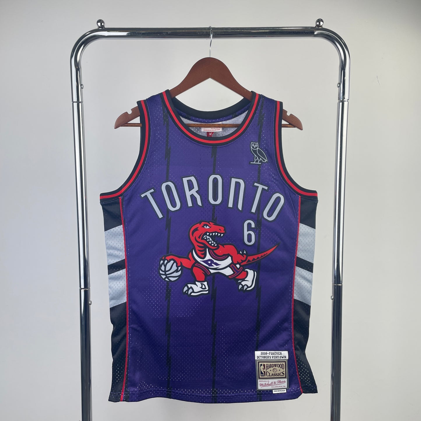 Toronto Raptors #6 Jersey