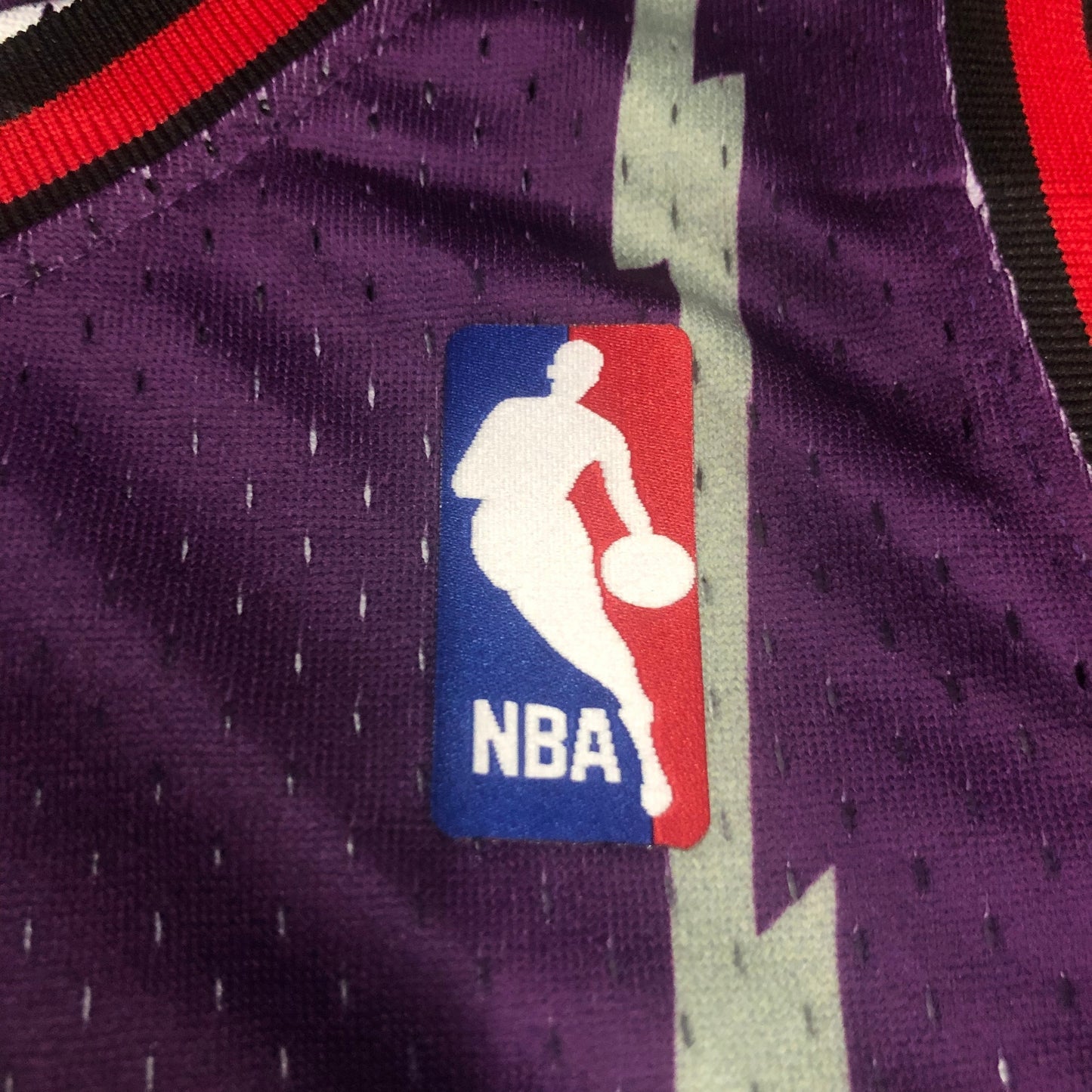 Purple Toronto Raptors 1998-99 Hardwood Classics Swingman Jersey